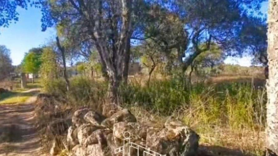 Terreno para Venda em Escalos de Cima e Lousa