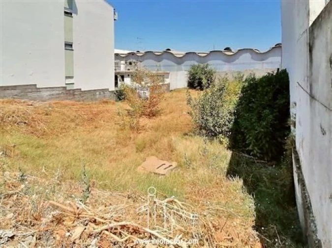 Terreno para Venda em Alcains Foto 5