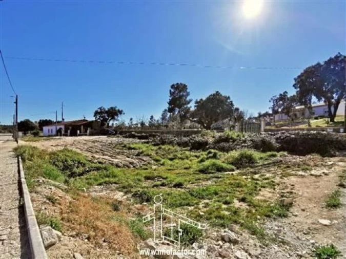 Terreno para Venda em Benquerenças Foto 3