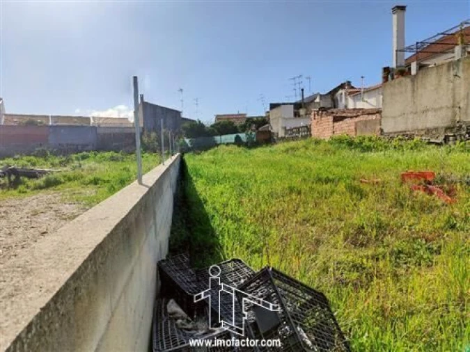 Terreno para Venda em Castelo Branco Foto 2