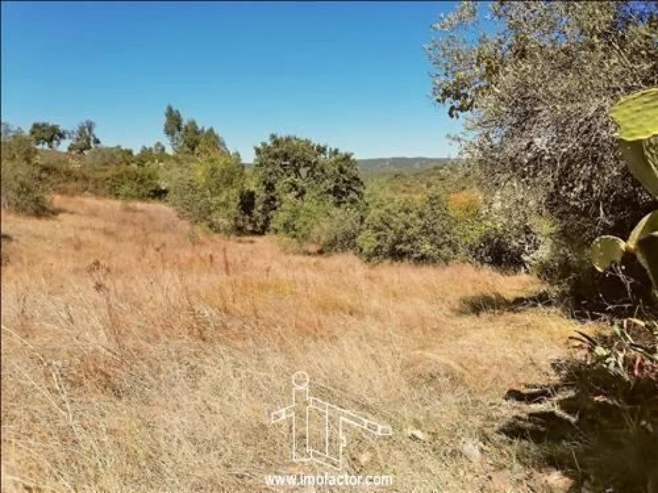 Terreno para Venda em Castelo Branco Foto 4