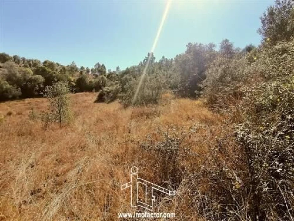 Terreno para Venda em Castelo Branco Foto 3