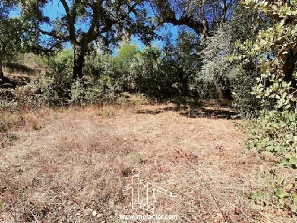 Terreno para Venda em Castelo Branco Foto 2
