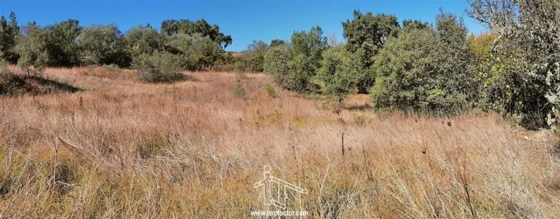 Terreno para Venda em Castelo Branco Foto 6
