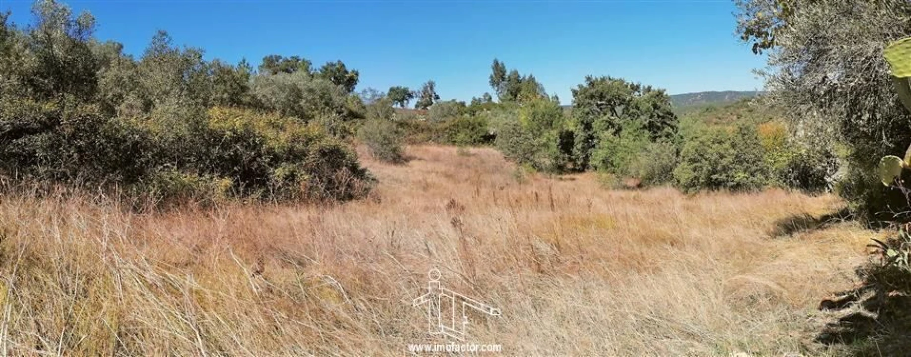 Terreno para Venda em Castelo Branco Foto 5