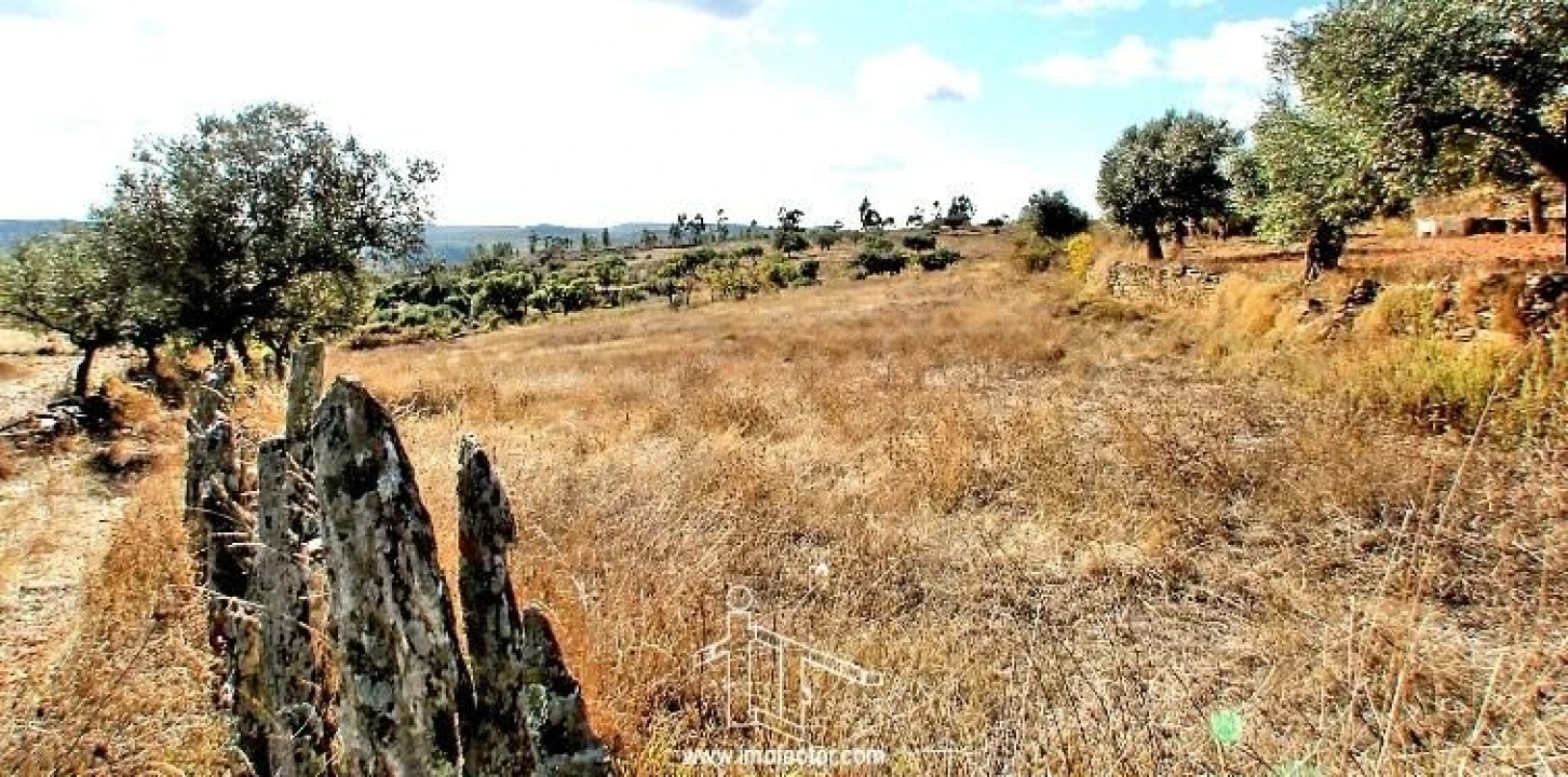 Terreno para Venda em Perais Foto 2