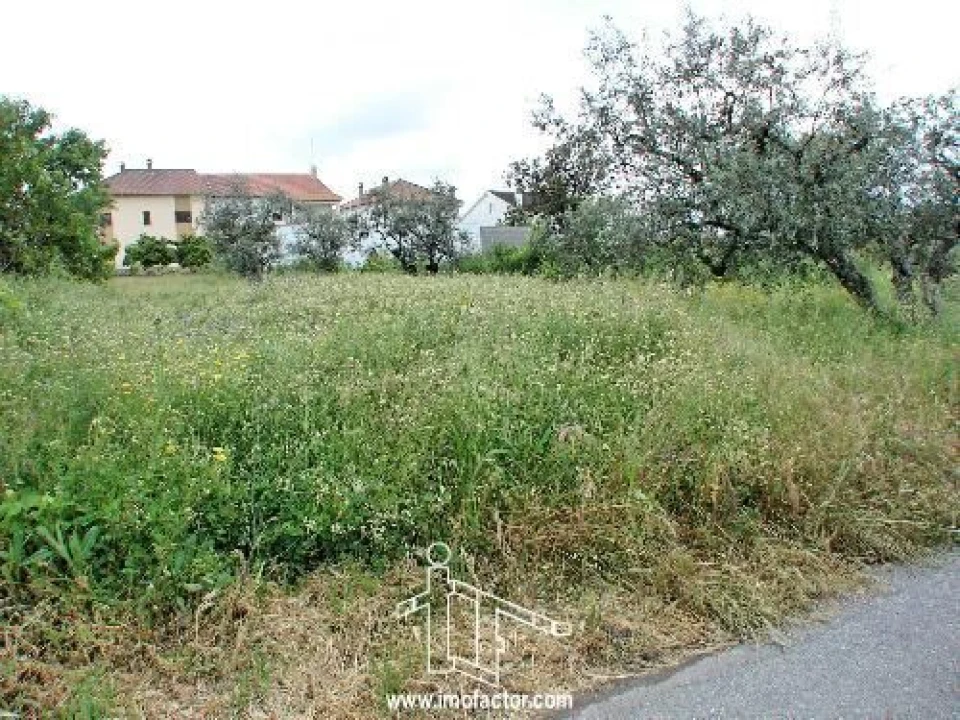 Terreno para Venda em Póvoa de Rio de Moinhos e Cafede Foto 1