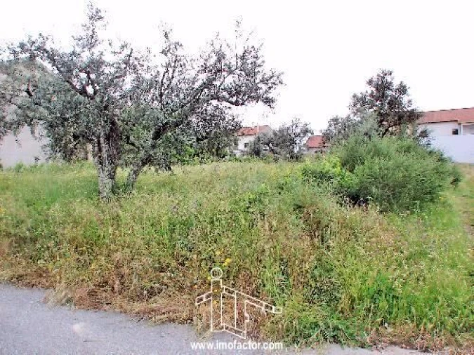 Terreno para Venda em Póvoa de Rio de Moinhos e Cafede Foto 2