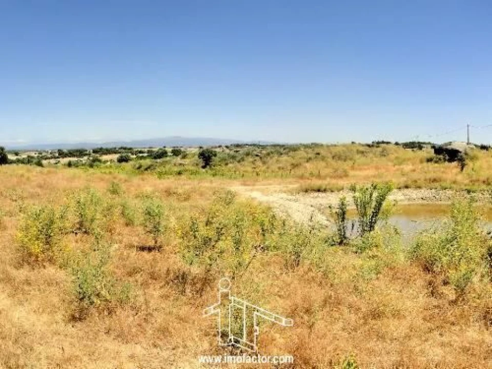 Terreno para Venda em Castelo Branco Foto 4