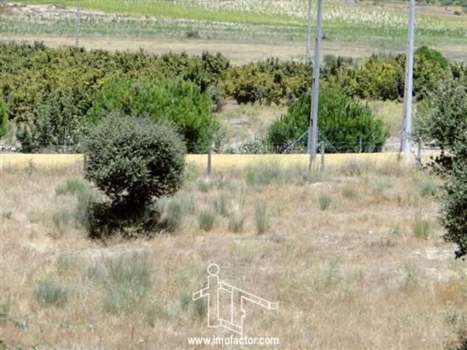 Terreno para Venda em Castelo Branco Foto 3