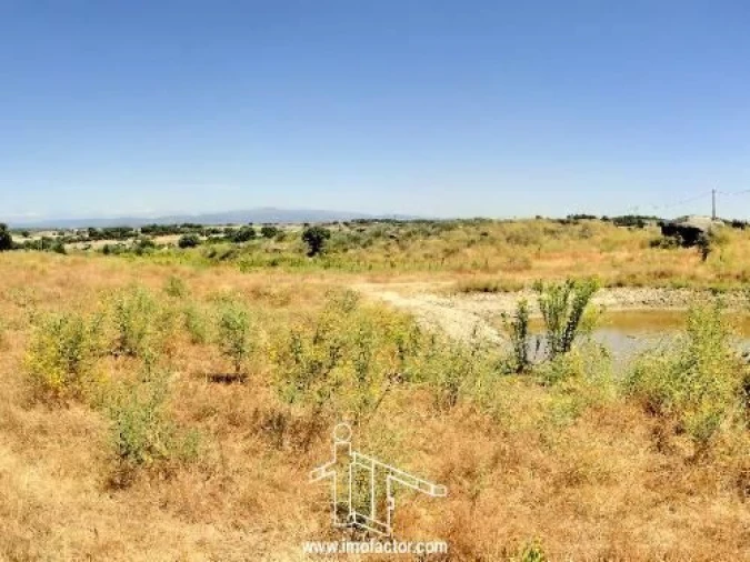 Terreno para Venda em Castelo Branco Foto 4