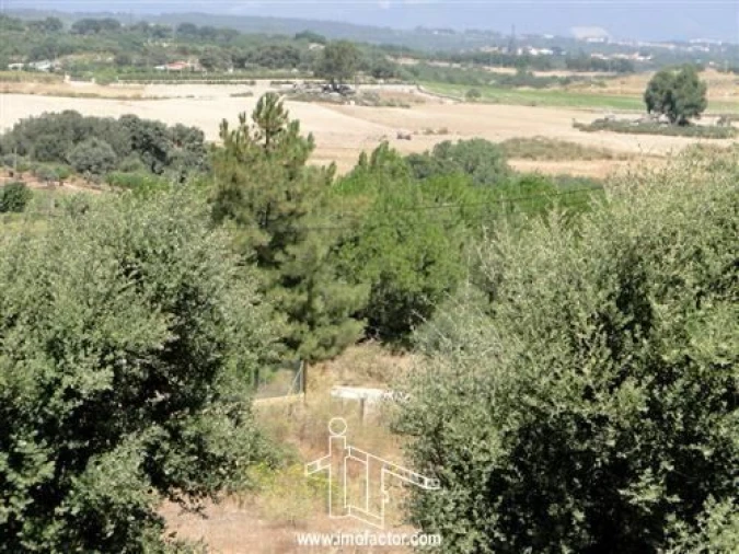 Terreno para Venda em Castelo Branco Foto 2