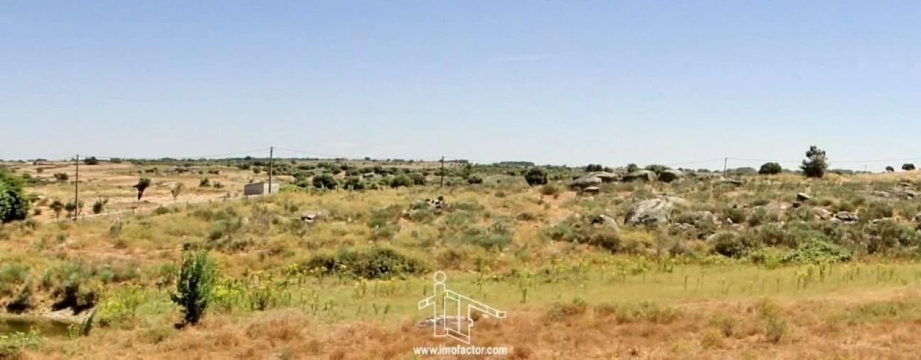 Terreno para Venda em Castelo Branco Foto 9