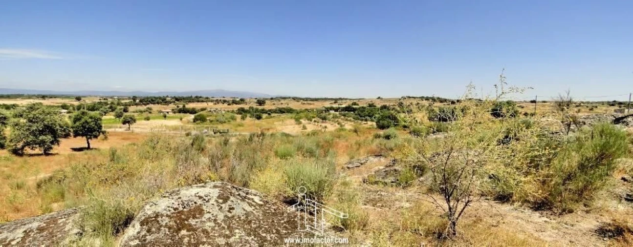 Terreno para Venda em Castelo Branco Foto 7