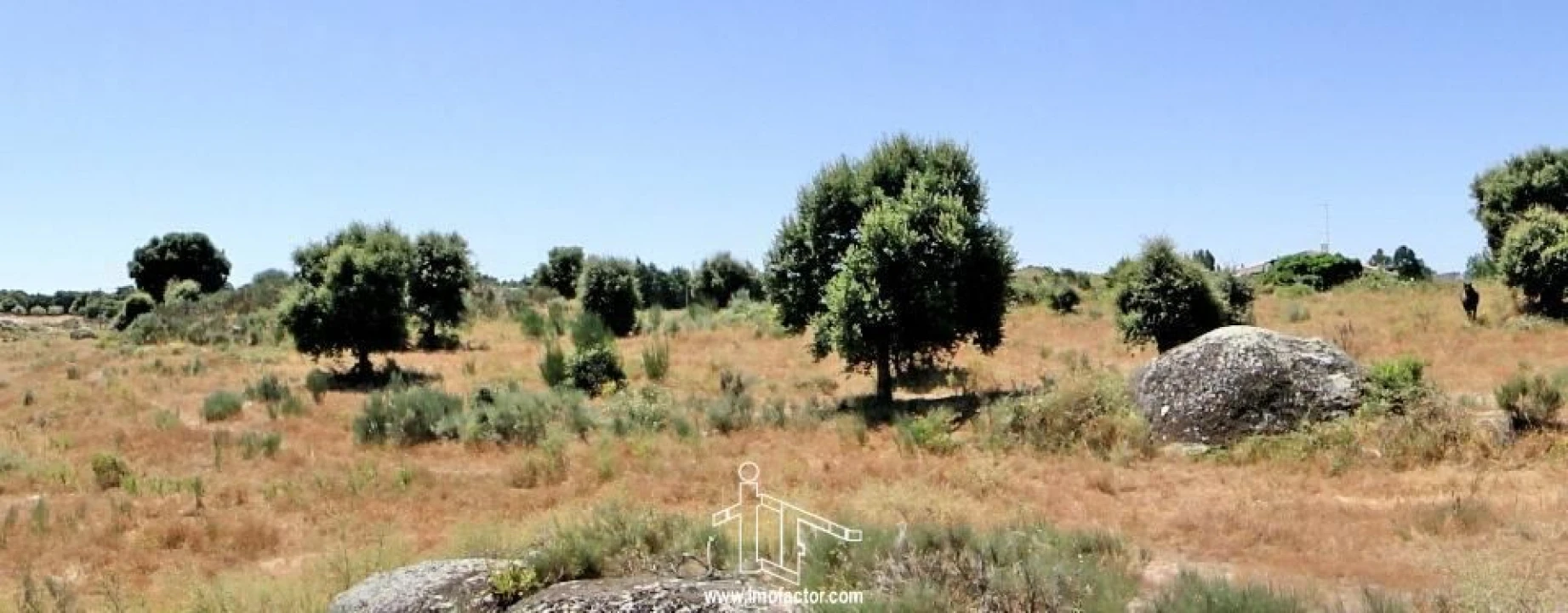 Terreno para Venda em Castelo Branco Foto 11