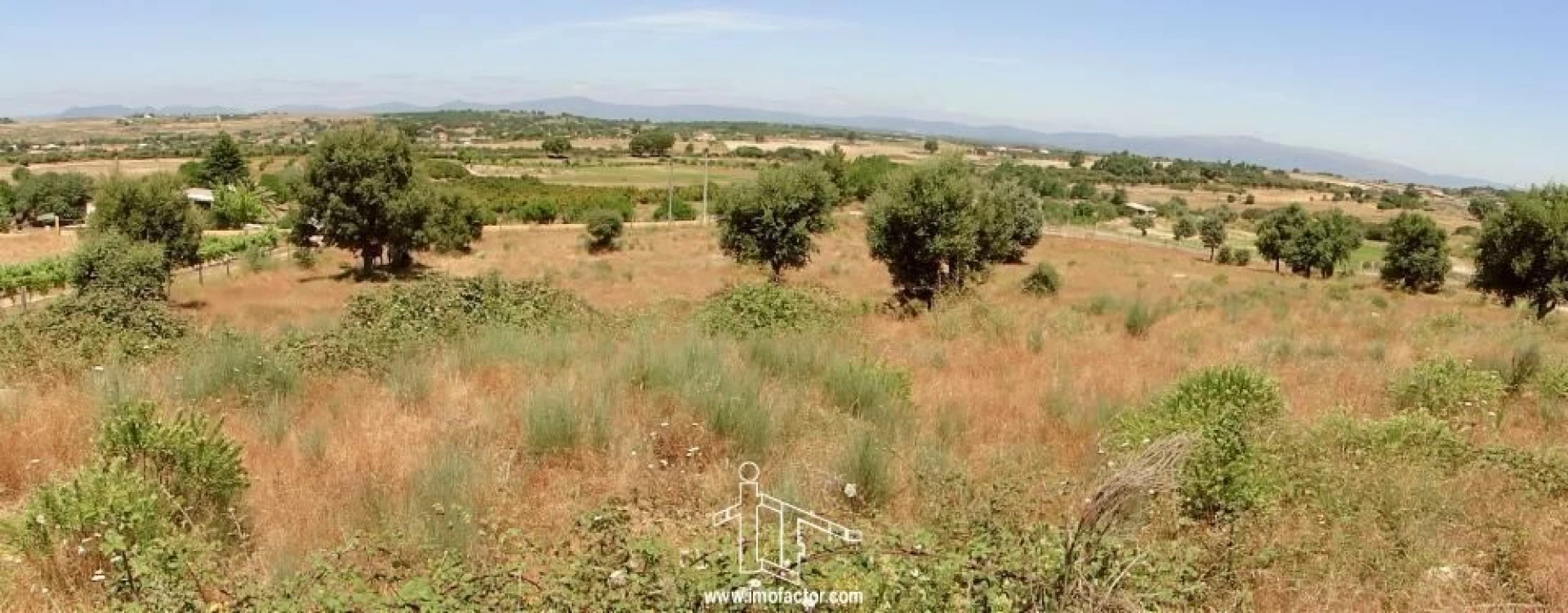 Terreno para Venda em Castelo Branco Foto 10