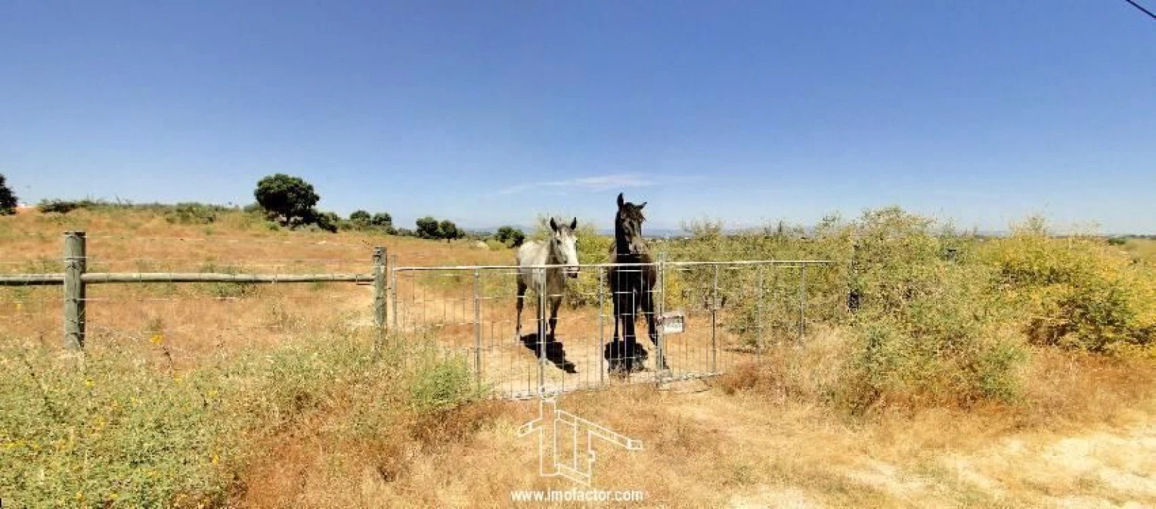 Terreno para Venda em Castelo Branco Foto 8