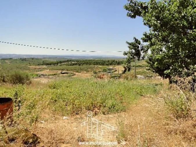 Terreno para Venda em Castelo Branco