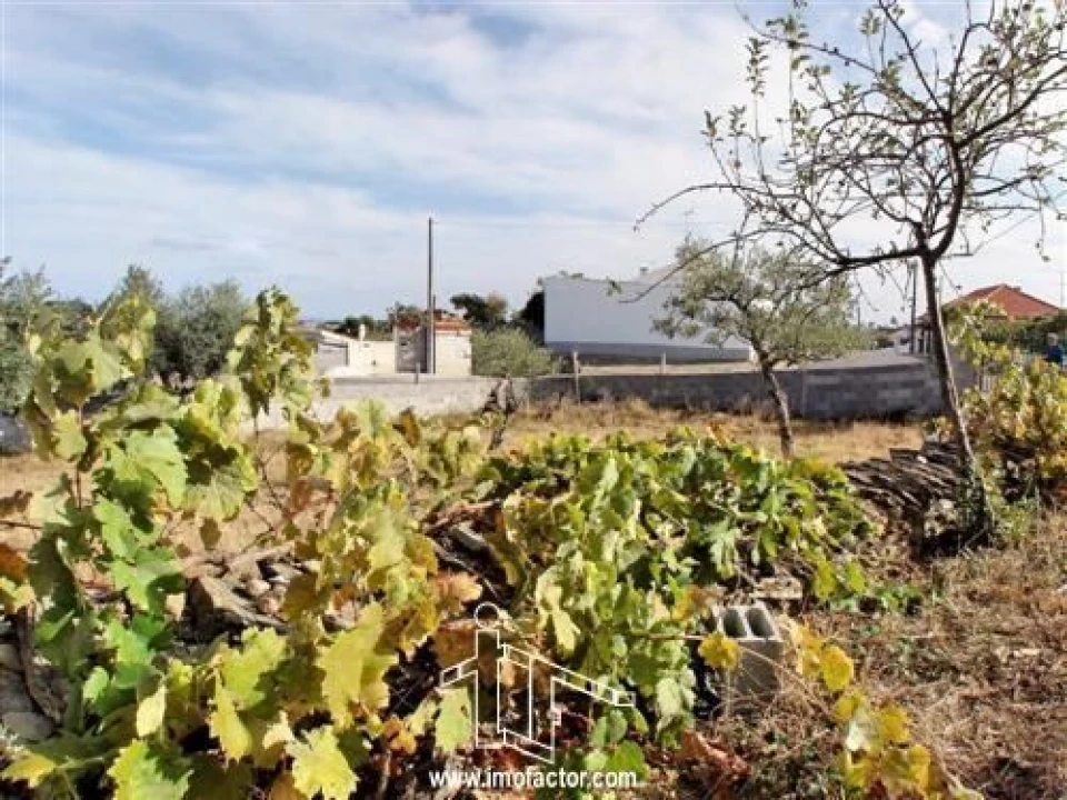 Terreno para Venda em Cebolais de Cima e Retaxo Foto 3
