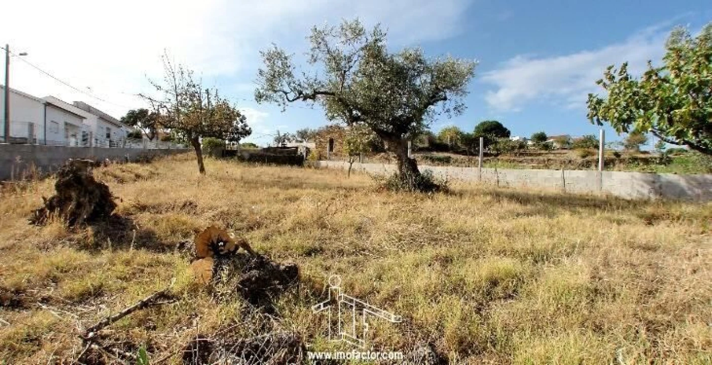 Terreno para Venda em Cebolais de Cima e Retaxo Foto 5