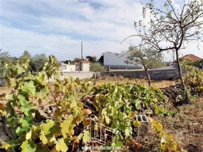 Terreno para Venda em Cebolais de Cima e Retaxo Foto 3