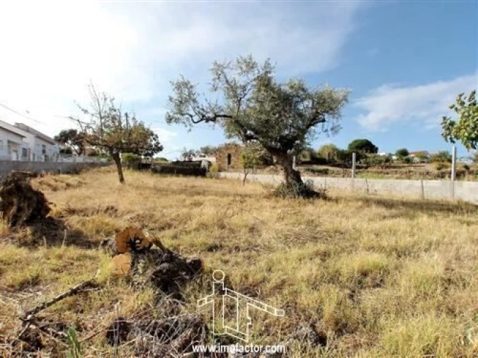 Terreno para Venda em Cebolais de Cima e Retaxo Foto 2