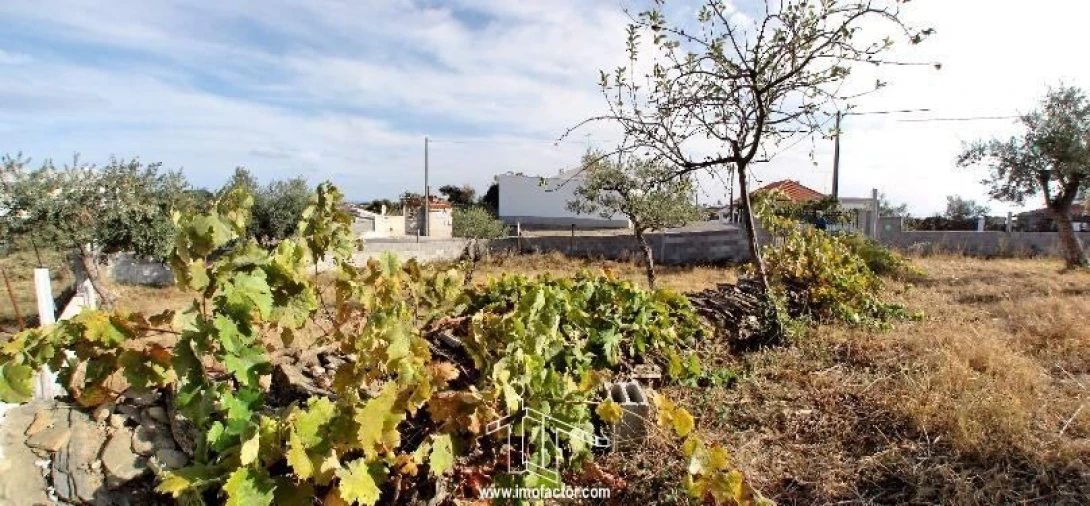 Terreno para Venda em Cebolais de Cima e Retaxo Foto 6