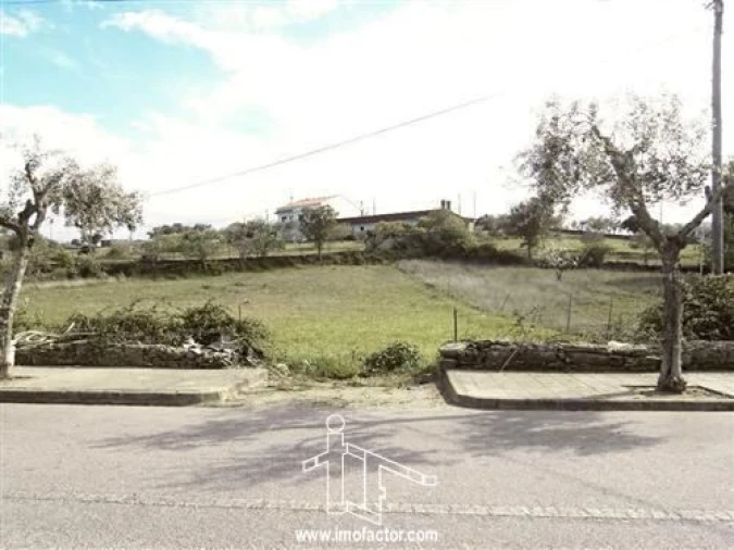 Terreno para Venda em Benquerenças Foto 4