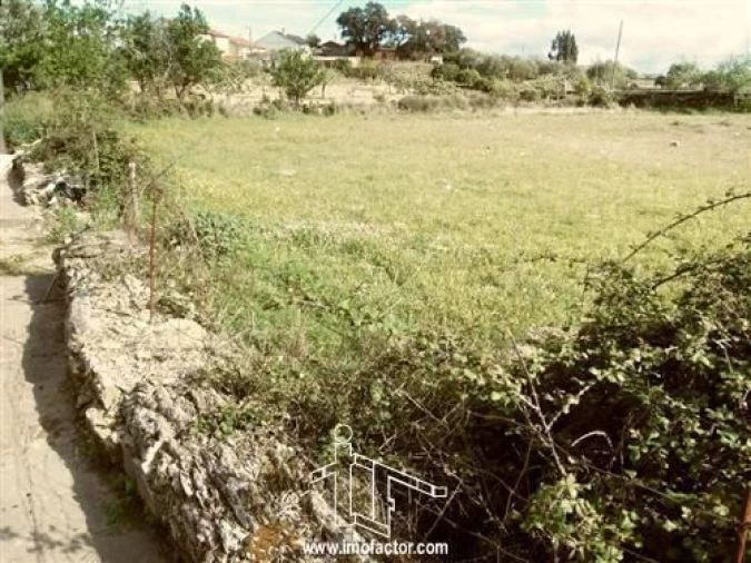 Terreno para Venda em Benquerenças Foto 3
