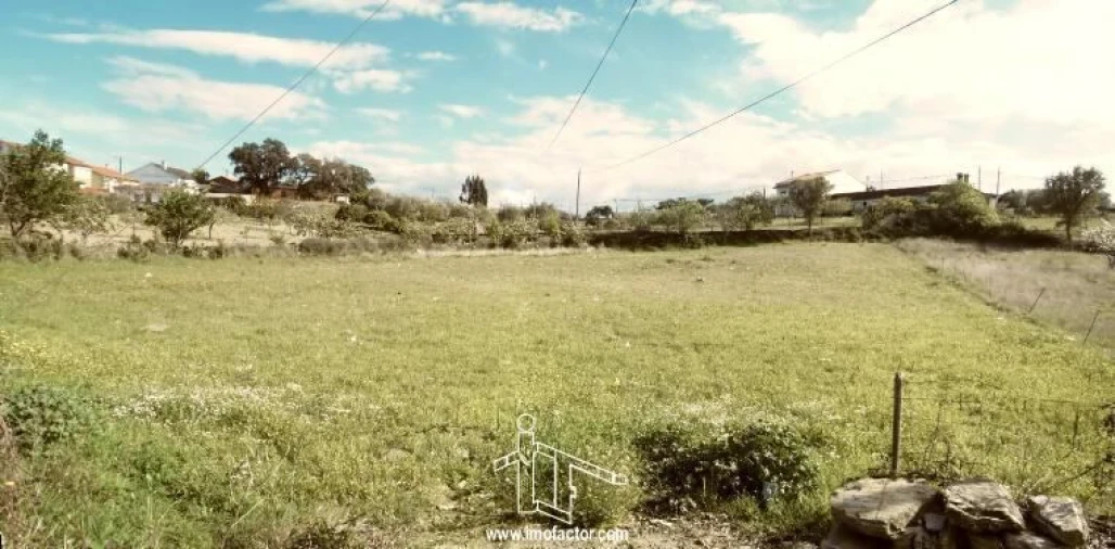 Terreno para Venda em Benquerenças Foto 5