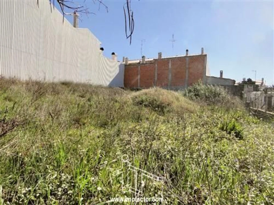 Terreno para Venda em Castelo Branco Foto 2