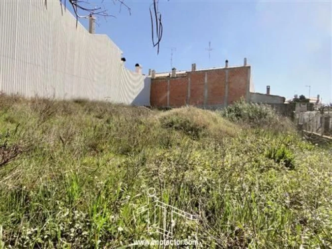 Terreno para Venda em Castelo Branco Foto 2
