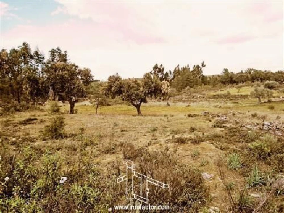 Terreno para Venda em Benquerenças Foto 3