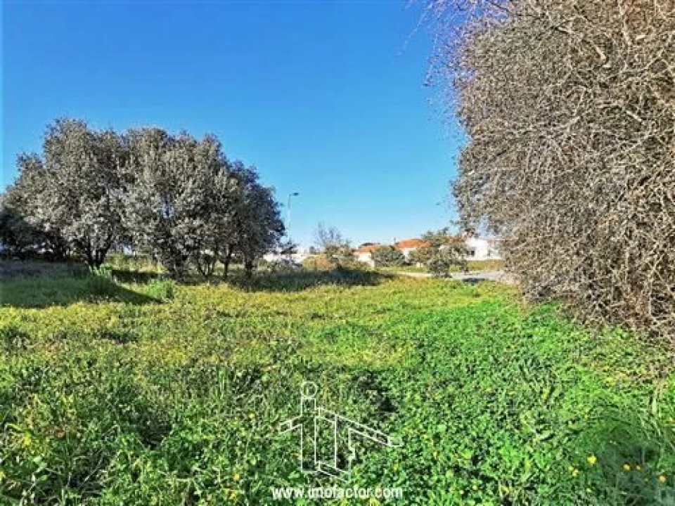 Terreno para Venda em Castelo Branco Foto 5
