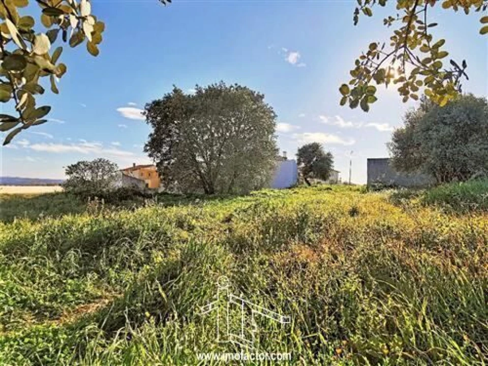 Terreno para Venda em Castelo Branco Foto 4