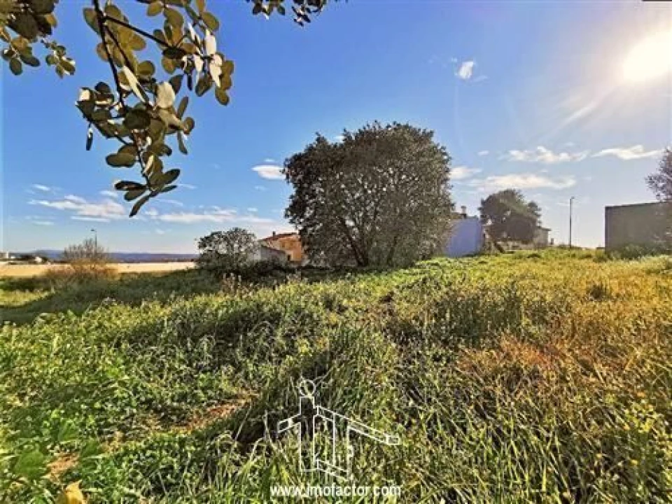 Terreno para Venda em Castelo Branco Foto 3