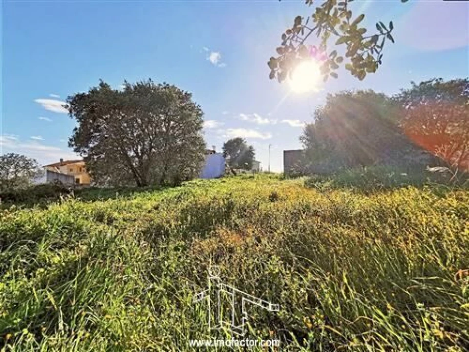 Terreno para Venda em Castelo Branco Foto 2