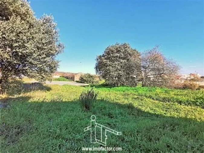 Terreno para Venda em Castelo Branco Foto 6