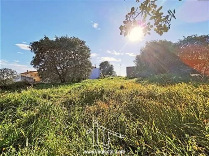 Terreno para Venda em Castelo Branco Foto 2