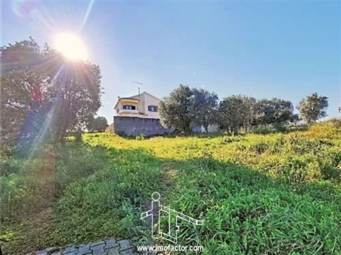 Terreno para Venda em Castelo Branco
