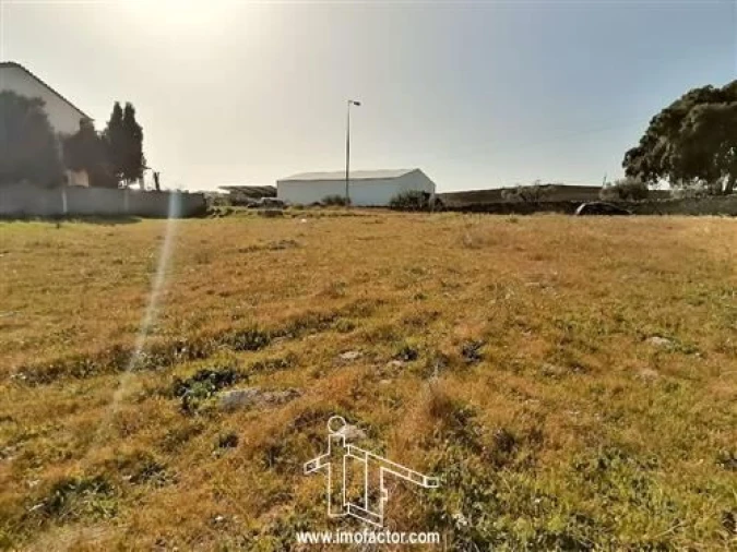 Terreno para Venda em Alcains Foto 3