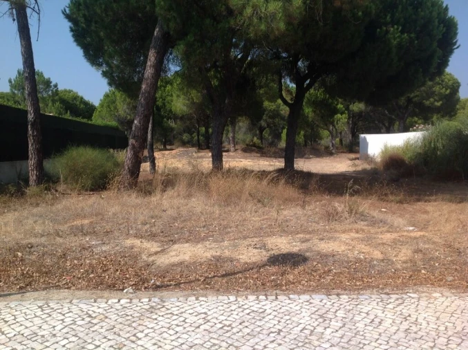 Terreno para Venda em Almancil