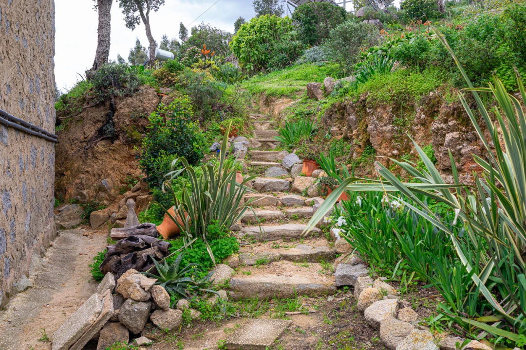 Quinta T2 para Venda em Monchique Foto 36