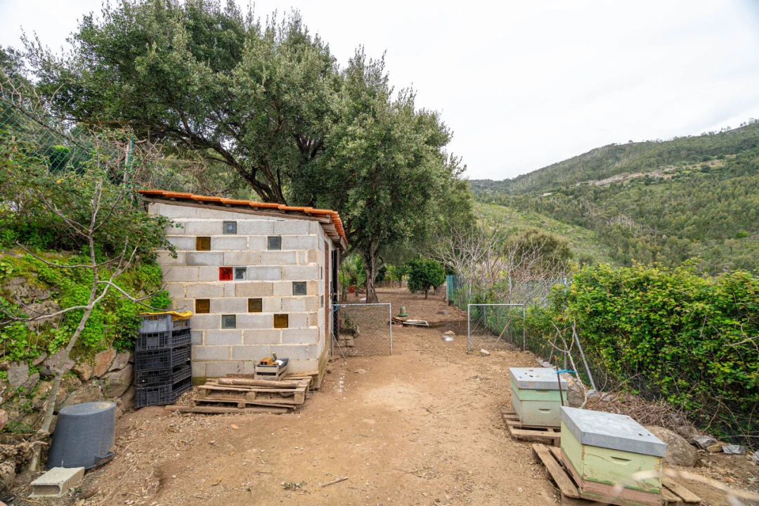 Quinta T2 para Venda em Monchique Foto 37