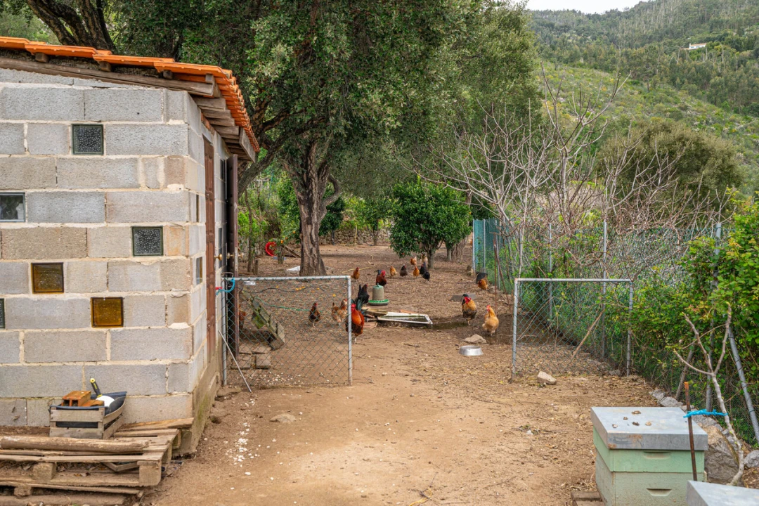 Quinta T2 para Venda em Monchique Foto 38