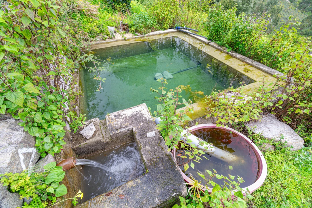 Quinta T2 para Venda em Monchique Foto 42