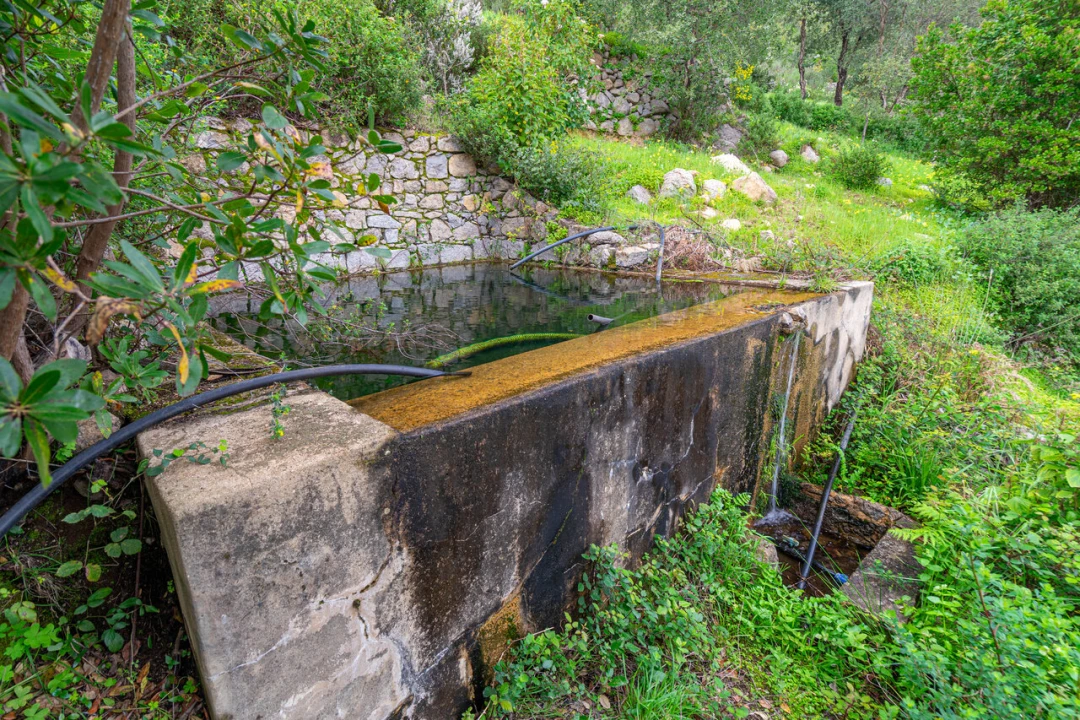 Quinta T2 para Venda em Monchique Foto 44