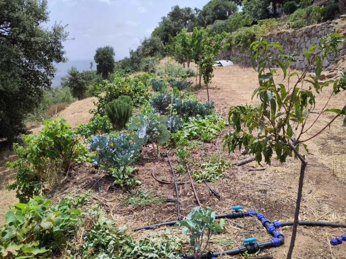 Quinta T2 para Venda em Monchique Foto 47