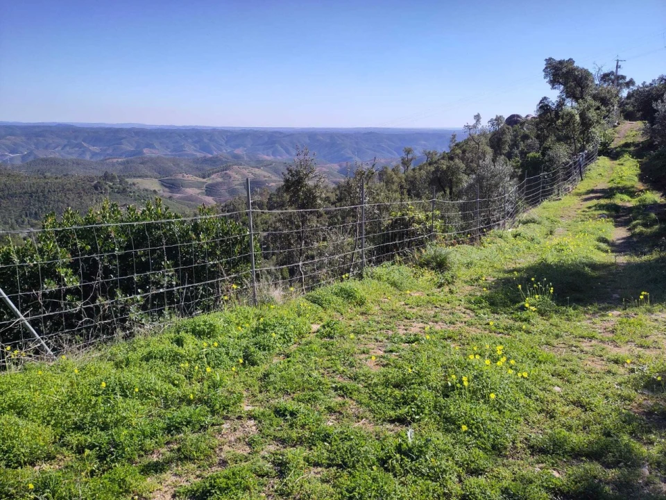 Quinta T2 para Venda em Monchique Foto 45