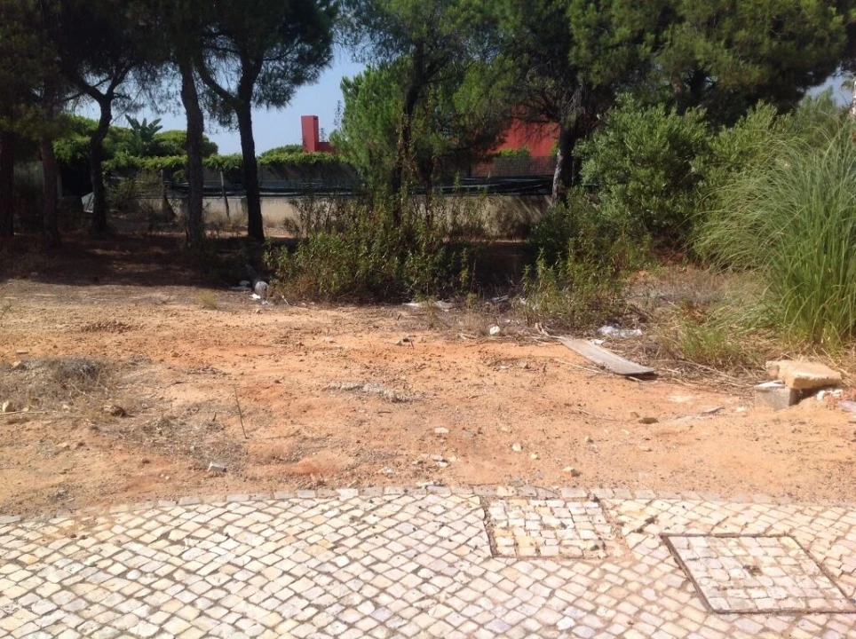 Terreno para Venda em Almancil Foto 4
